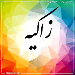 %d8%b2%d8%a7%da%a9%db%8c%d9%87