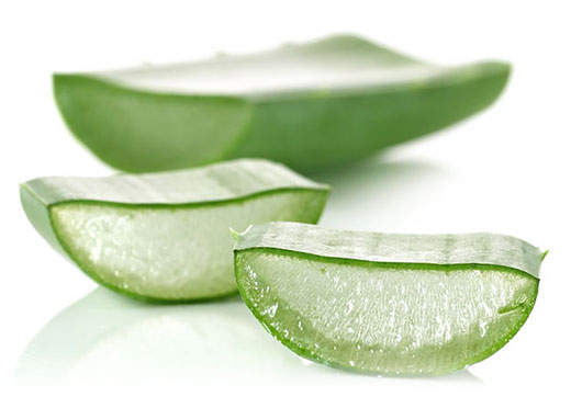 فواید شگفت انگیز آلوئه ورا برای کودک فواید شگفت انگیز آلوئه ورا برای کودک