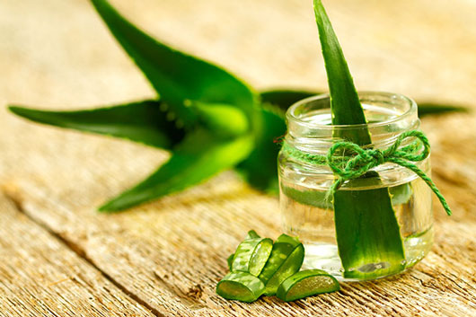فواید شگفت انگیز آلوئه ورا برای کودک فواید شگفت انگیز آلوئه ورا برای کودک