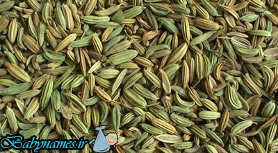 در دوران شیردهی این خوراکی ها را بخورید!