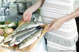 در دوران بارداری حتما ماهی بخورید