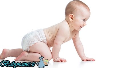 راهنمای وزن گیری نوزاد از 6 تا 12 ماهگی