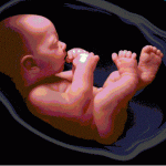 چرا جنین در شکم سکسکه می کند؟
