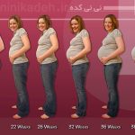 محاسبه سن بارداری/ سن حاملگی را چگونه حساب کنیم؟