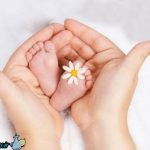 با عوض کردن رژیم غذایی جهت بارداری سریع اقدام نمایید