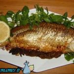 بهترین غذاهای دوران شیردهی