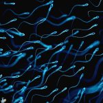 ارتباط محصولات کلر دار با نازایی