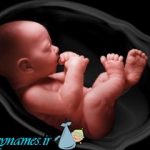 احتمال انتقال صرع، از مادر به جنین