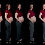 ماه ها و هفته های بارداری